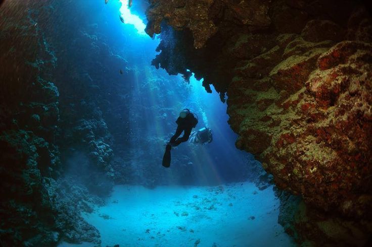 Professional Beginner Scuba Diving Trip to Tiran Island from Sharm El Sheikh